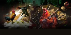 Chiến Thuật Chơi Đá Gà GA28 Tại Z8Bet Giúp Bạn Thắng Đậm