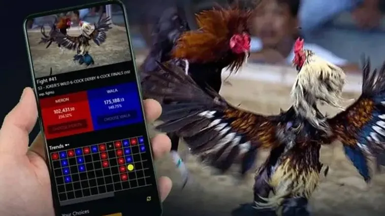 Tuyệt Chiêu Soi Kèo Đá Gà Z8Bet Bất Bại Từ Các Chuyên Gia