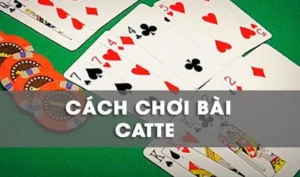 Hướng Dẫn Cách Chơi Sắc Tê Z8Bet Chinh Phục Mọi Ván Bài